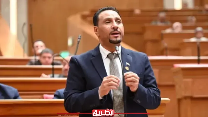 برلماني: مصر تقود جهودًا مسؤولة لحماية القضية الفلسطينية وترسيخ الاستقرار الإقليمي