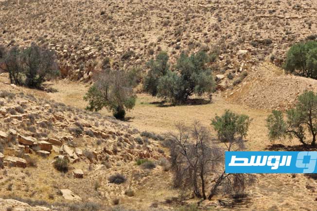 بسبب مخاطر مناخية.. الجفاف يضرب أكثر من 68 ألف كيلومتر مربع في غرب ليبيا
