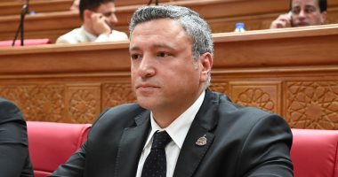 نائب: رسائل الرئيس السيسي الحاسمة بشأن المنطقة تعكس رؤية استراتيجية