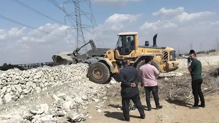حملات مكثفة لحماية الرقعة الزراعية.. و319 حالة إزالة في المهد