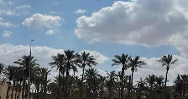 تكاثر للسحب وتوقعات بأمطار رعدية بهذه المناطق.. الأرصاد تكشف فرصها على القاهرة