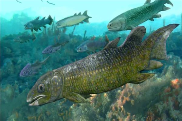 أسماك عمرها 400 مليون عام تقدم أدلة على أصل رباعيات الأطراف