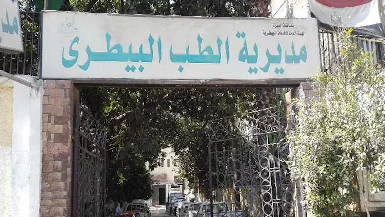 ضبط لحوم كلاب معدة للاستهلاك الآدمي.. "بيطري الجيزة" تكشف الحقيقة