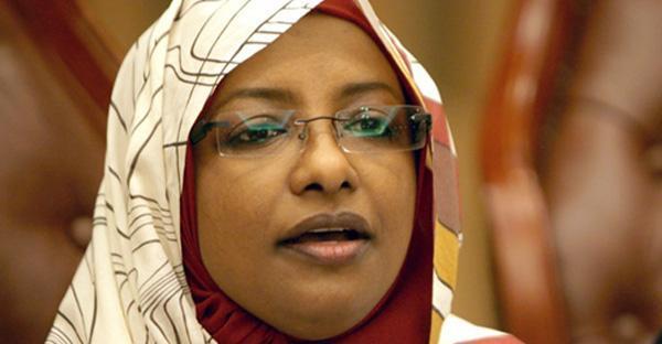 الأستاذة سناء حمد.. من الذي صنع عرقي الجنجويد؟