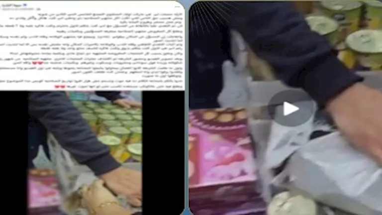 ضبط 1 طن أغذية وأسماك فاسدة داخل محل بالتجمع الخامس