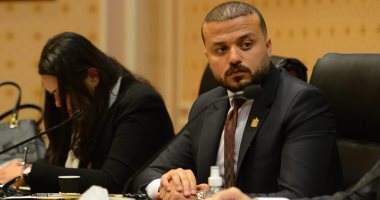 وزير الشباب يستعرض أمام مشروعات النواب خطة تدريب الشباب على إقامة المشروعات الإنتاجية