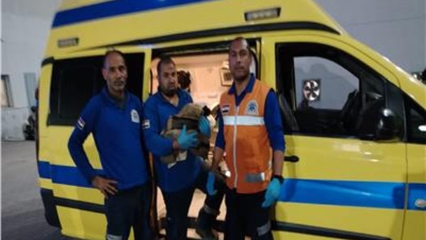 ولدت في القطر.. الإسعاف تنقذ أمًا ومولودها بعد ولادة مفاجئة بمحطة طنطا