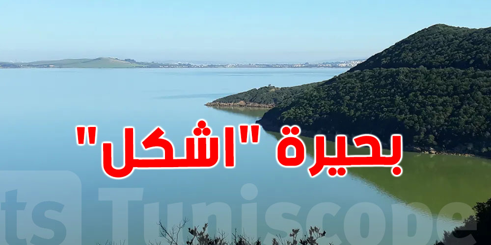 قيمته مليوني دينار: تمويل دولي لتونس لترميم النظم البيئية ببحيرة إشكل