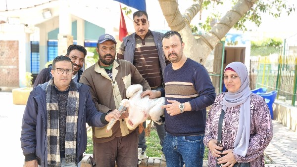 ضبط بجعة داخل أحد المحال التجارية لبيع الأسماك في طنطا