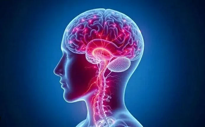 طفرة «صغيرة» تُحدث اضطرابًا كبيرًا في سلوك الدماغ
