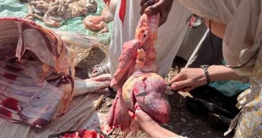 تعرف على عقوبة ذبح الأضاحى خارج المجازر الحكومية