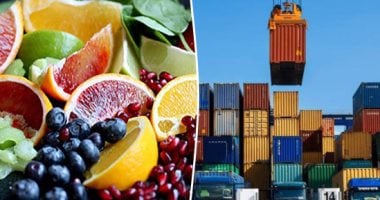 الصادرات المصرية نقطة مضيئة في 2026.. توقعات بزيادة 20% بنهاية العام.. قطاع الملابس يستهدف زيادة مليار دولار.. الصناعات الهندسية تتجه لـ 7.5 مليار دولار.. والقاهرة تسعى للدخول ضمن أفضل 50 دولة فى مؤشر