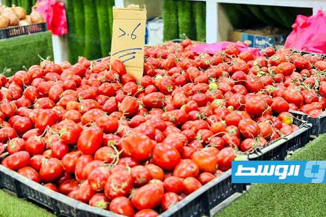 انخفاض أسعار الطماطم في ليبيا مع زيادة المعروض المحلي