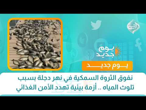 نفوق الثروة السمكية في نهر دجلة بسبب تلوث المياه .. أزمة بيئية تهدد الأمن الغذائي