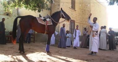 عيد شعبى فى ليلة المرماح بجزيرة المنصورية بأسوان