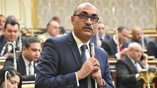 النائب إيهاب منصور: زيادة الحد الأدنى للأجور لن تفيد دون رقابة على الأسعار