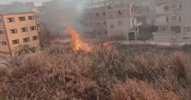 حريق بأشجار مجاورة لمدرسة ثانوية بنات بالشرقية وصرف الطالبات من مدرسة