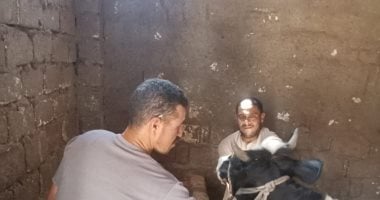 تحصين 47 ألف رأس ماشية ضد الحمى القلاعية والوادى المتصدع بأسيوط