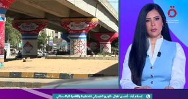 وزير باكستاني: التوتر الإقليمي يعرقل الاستثمارات ويهدد الاقتصاد العالمي