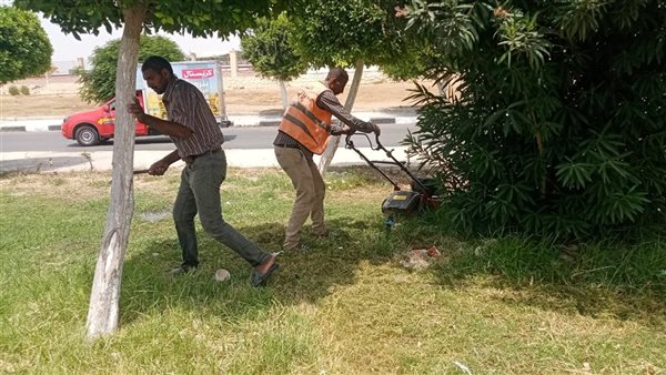 جهاز التطوير والتجميل بالإسماعيلية يواصل أعمال صيانة ورفع كفاءة المسطحات الخضراء