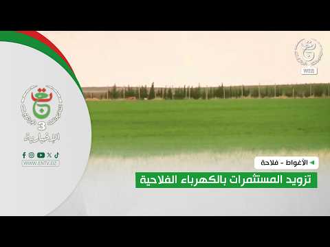 الأغواط -  فلاحة | تزويد المستثمرات بالكهرباء الفلاحية