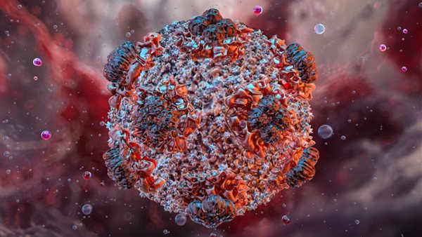 خطوات بسيطة للوقاية من فيروس هانتا وفق توصيات منظمة الصحة العالمية