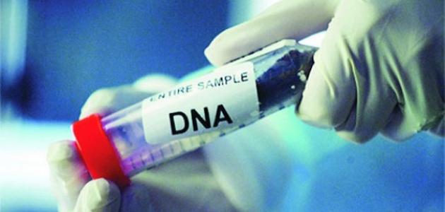 مكالمة دولية غيّرت حياتي .. محمد ميلاد يكشف كيف أعاده DNA إلى أسرته
