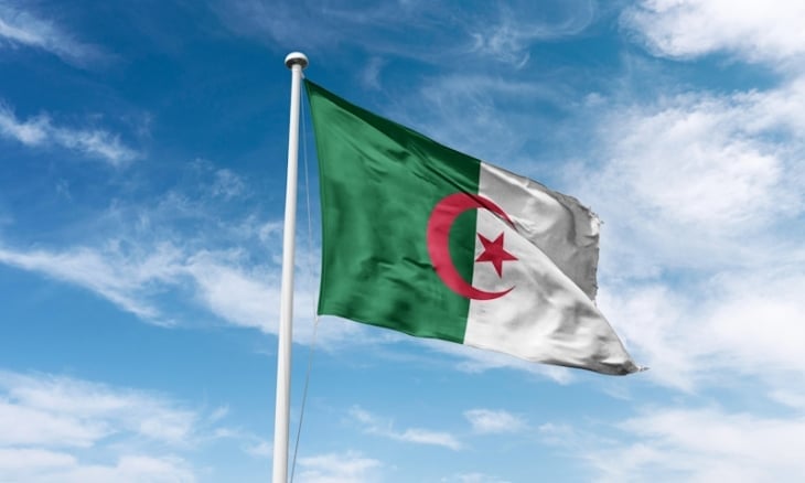 محكمة جزائرية: السجن7 سنوات بحق مؤثر بارز بتهمة تدنيس العلم- (فيديو)