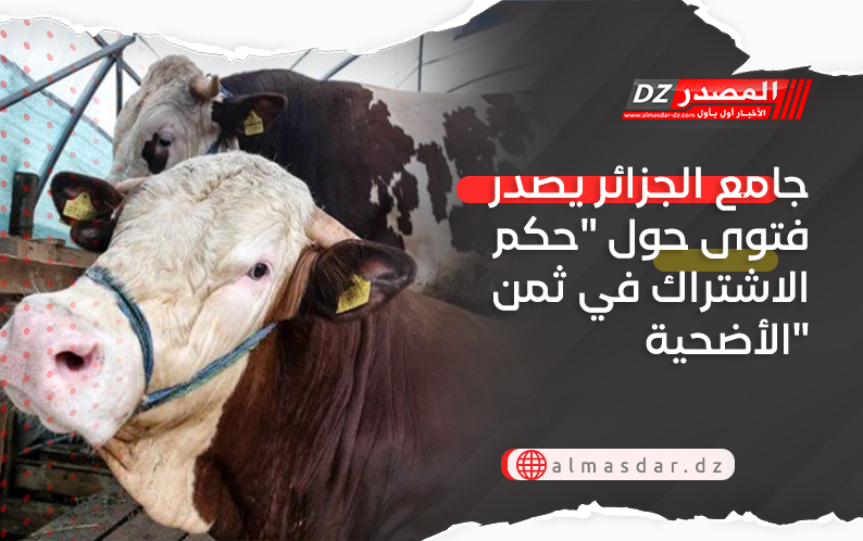 جامع الجزائر يصدر فتوى حول "حكم الاشتراك في ثمن الأضحية"