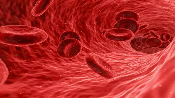 كيف تؤثر أنيميا فقر الدم على الجسم في الصيام؟