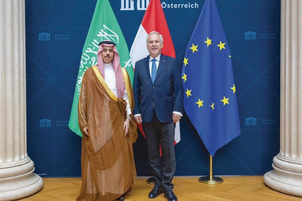 وزير الخارجية يبحث مع رئيس البرلمان النمساوي جهود إحلال الأمن والاستقرار
