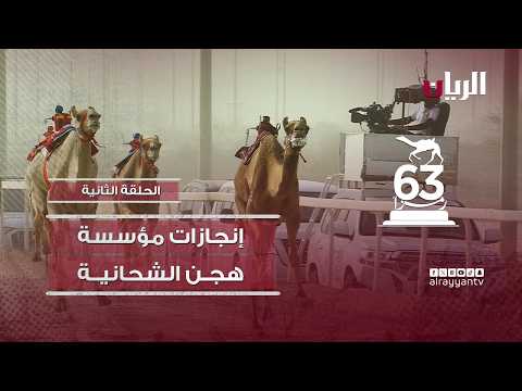 إنجازات مؤسسة هجن الشحانية .. 63 رمزاً