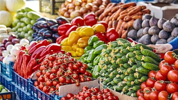 الطماطم في مقدمتها، شعبة الخضراوات تعلن انخفاض أسعار 4 أصناف زراعية