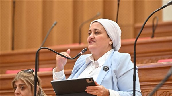 طلب إحاطة برلماني بشأن تدهور الخدمات وتأخر التنمية في جزيرة الشخلوبة بكفر الشيخ