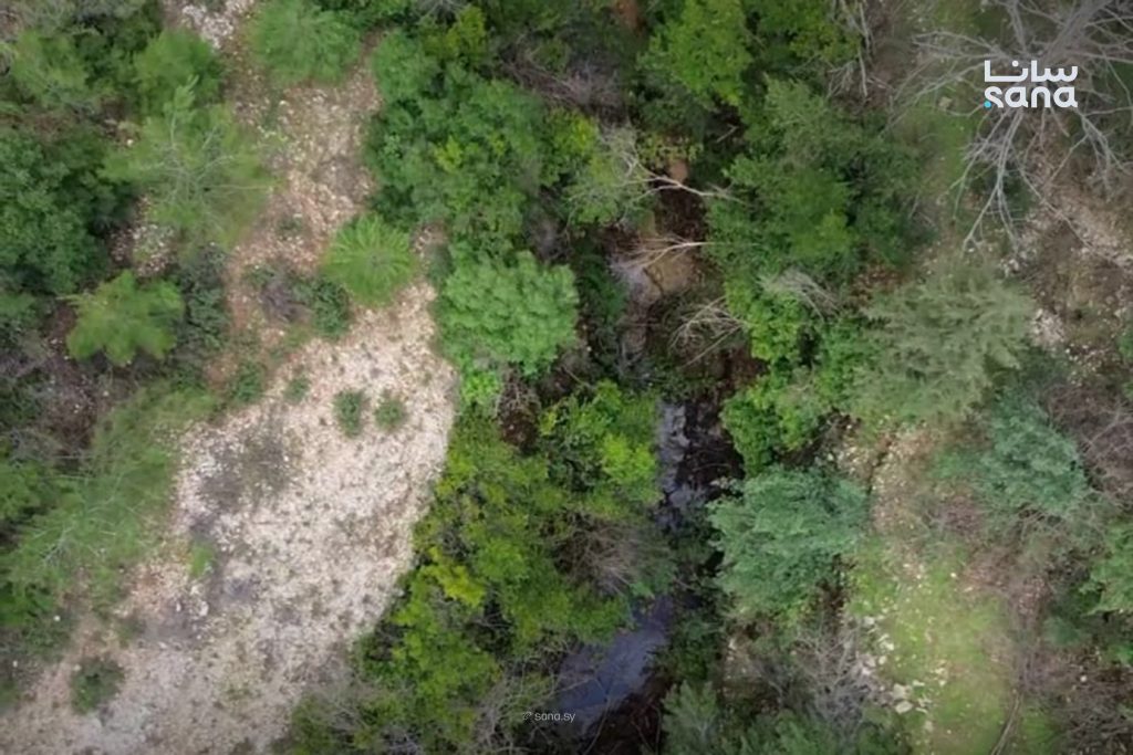مشاهد ساحرة لوادي قرية المغيرية بريف اللاذقية بعد تدفق ينابيعه العذبة