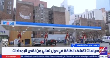 خبيرة لإكسترا نيوز: أزمة الطاقة العالمية تضع آسيا تحت ضغوط غير مسبوقة