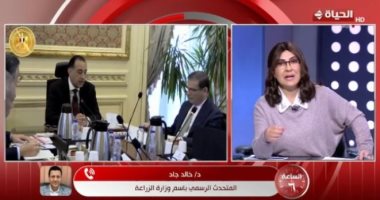 متحدث الزراعة لـ الساعة 6: احتياطي القمح آمن والطماطم ستعود لسعرها الطبيعى