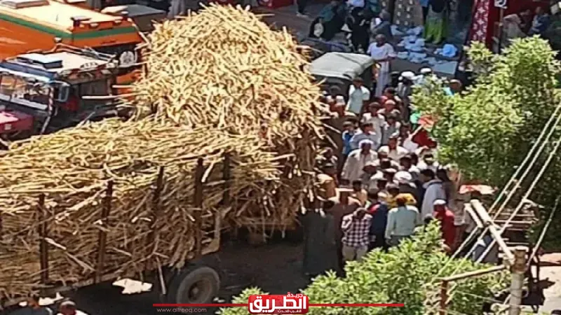 مصرع سيدة إثر حادث سير أمام كوبري إدفو