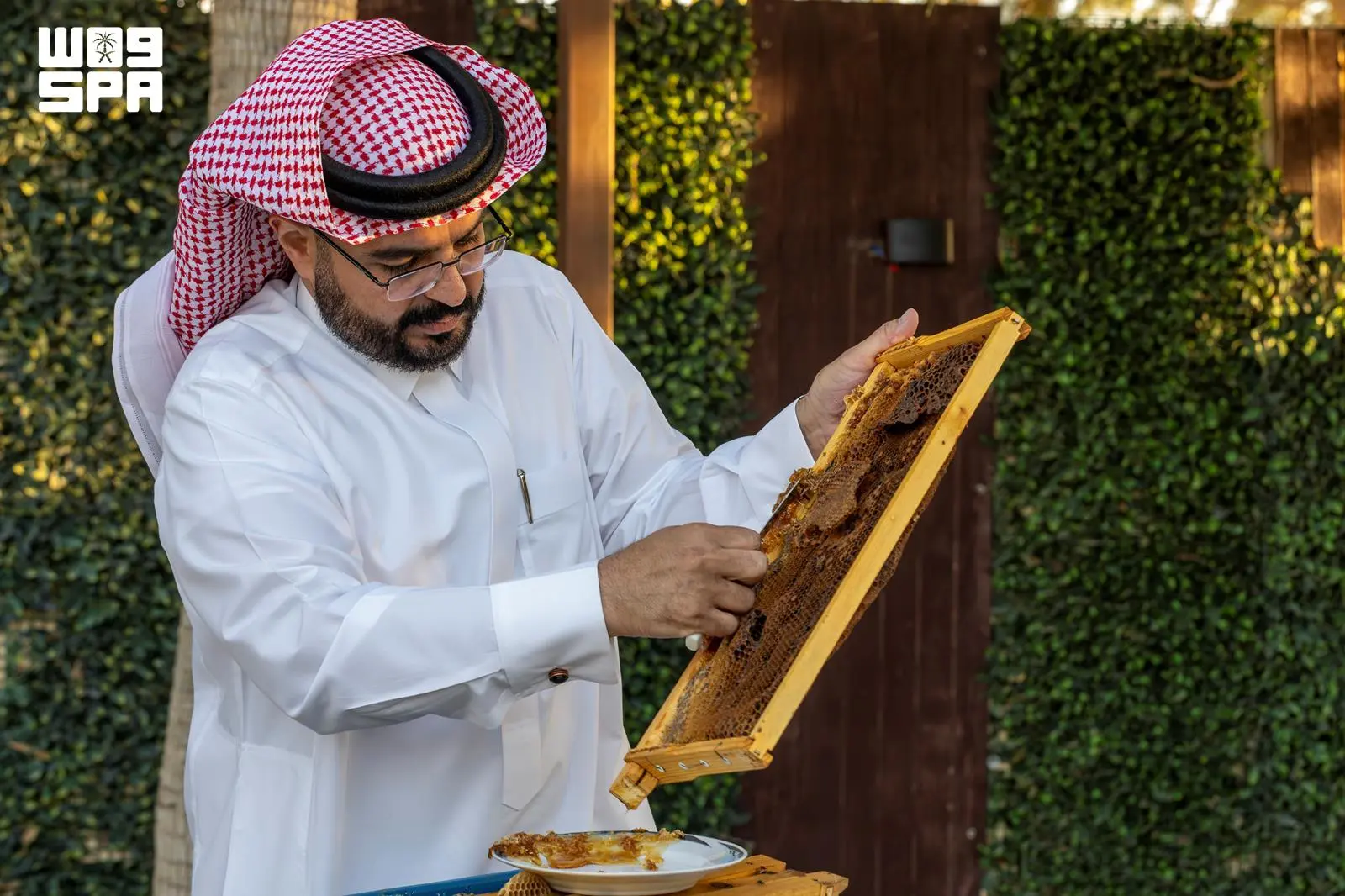 منتجو العسل في الجوف يبدؤون مواسم الإنتاج بعسل “الحمضيات”