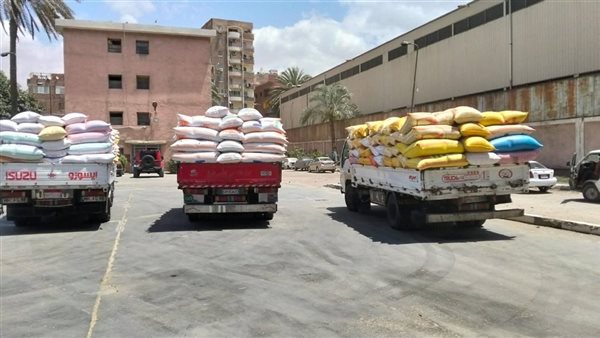 توريد 27 ألف طن قمح بالقليوبية ومتابعة يومية لعمليات التوريد بالشون والصوامع