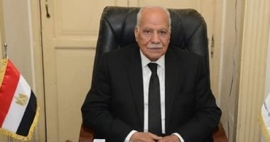 الحزب العربي الناصري: ثورة 30 يونيوأعادت تصحيح المسار لصالح الشعب المصرى