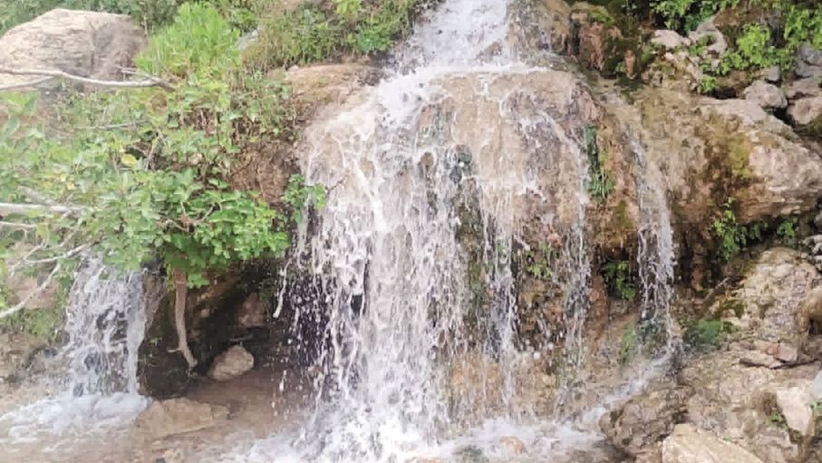 "عين سوميا".. ذاكرة الماء والحياة في قلب الوادي