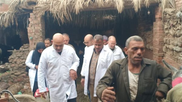 بيطري القليوبية: تحصين 113 ألف رأس ماشية ضمن حملة مكافحة الجلد العقدي