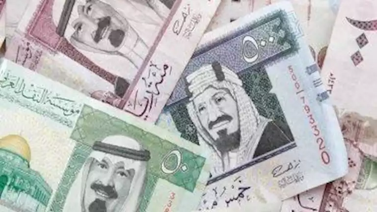 الدولار يقود سعر الريال السعودي للارتفاع مقابل الجنيه اليوم 25-2-2026