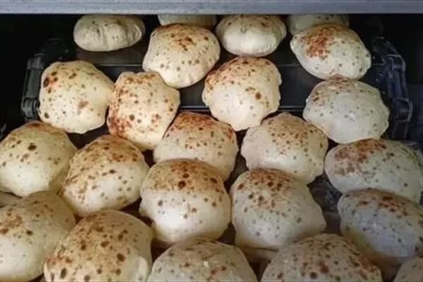 "تموين القليوبية": تحديد سعر الخبز السياحي والفينو لضبط الأسواق