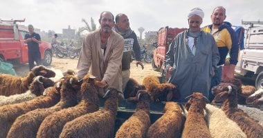 قبل عيد الأضحى.. احذر الذبح بالشارع عقوبته تصل للحبس سنة