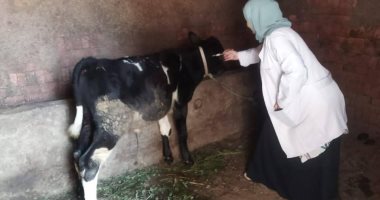 «الزراعة» تواصل جهود الحملة القومية ضد الحمى القلاعية والوادي المتصدع