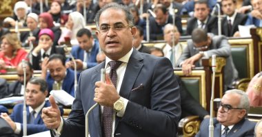 برلمانية الجبهة الوطنية: العلاقة بين مصر وليبيا علاقة المصير المشترك