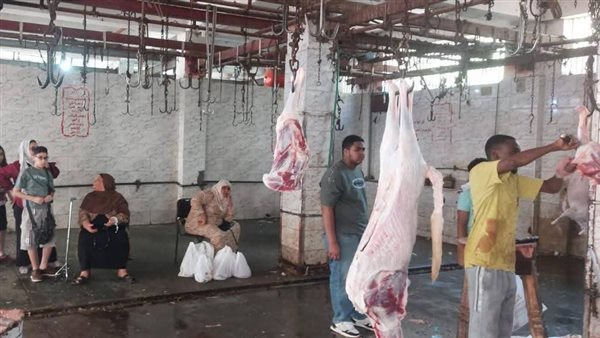 الزراعة: ذبح 35 ألف أضحية مجانًا بالمجازر الحكومية خلال عيد الأضحى
