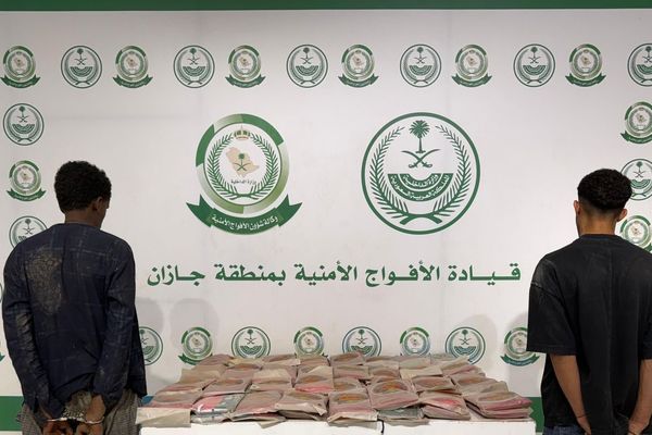 القبض على شخصَيْن لترويجهما (75) كيلو جرامًا من مادة الحشيش المخدر